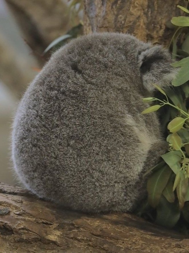 pae ae! c a e ocaao eo-o oo  caoo, o o  ac  oa o ... - 2