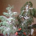 ���� �����, ����������� - ��������� 6 ������ 2026 � ������ ���� ����������