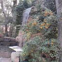 ���� ������, ������ - ��������� 4 ������� 2026 � ������ ���� ����������