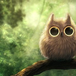 ����, ������ ��������, 37 ���