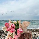 ���� �����, ������ - ��������� 18 ����� 2024 � ������ ������ ��������