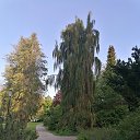 ���� Alexander, ������, 62 ���� - ��������� 1 ������� 2023 � ������ �������