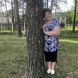 ������, ������, 65 ���