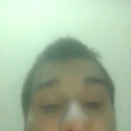 ����, �����-���������, 33 ����