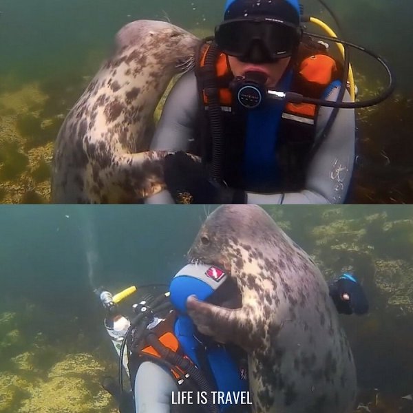 ���� �� ���������� �������� ������ ���� � ������� ������� �������� ��� ����� ��������. ������, �� ... - 2