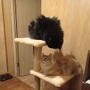 ���� ������, �����, 38 ��� - ��������� 21 ������ 2025 � ������ ���� ����������