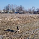 ���� ����, �����, 38 ��� - ��������� 11 ����� 2024 � ������ ���� ����������