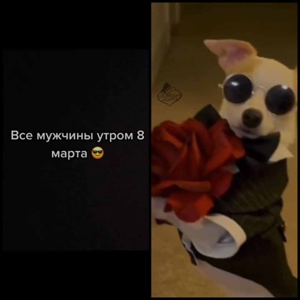 �� ��� ��� ��� � ������ �� �������