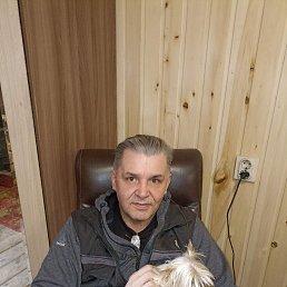 ���� ���, �����, 54 ���� - ��������� 20 ������� 2023