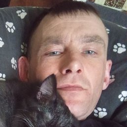 �����, ������, 37 ���