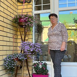 ������, ������, 38 ���