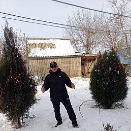 ���� ���������, �������, 40 ��� - ��������� 26 ������ 2026