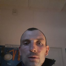 , 37, 