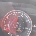 ���� ����������, ������, 41 ��� - ��������� 2 �������� 2026 � ������ ���� ����������