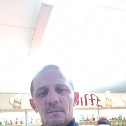 ������, ���������, 41 ���