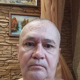 , 52 ,  