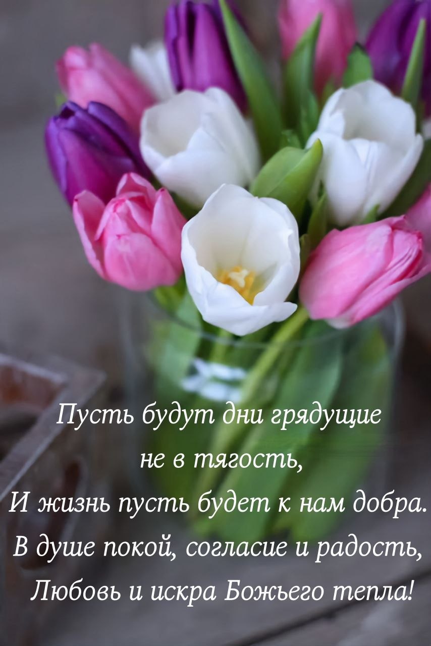 ������ - 27 ���� 2026 � 18:30