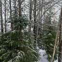 ���� Svetorada, ��������� - ��������� 10 ������ 2025 � ������ ������ ��������
