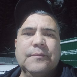 �����, �����-���������, 53 ����