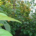 ���� �����, �������� - ��������� 26 ���� 2025 � ������ ������� 2025�