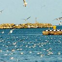 ���� Keti, ����, 52 ���� - ��������� 15 ������� 2025 � ������ ���� ����������