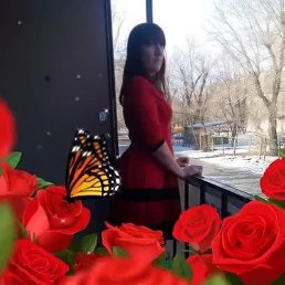 ������, ���������