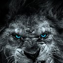 ���� ���, ������ - ��������� 16 ������ 2026 � ������ ���� ����������