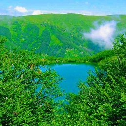 ����, �������, 48 ���