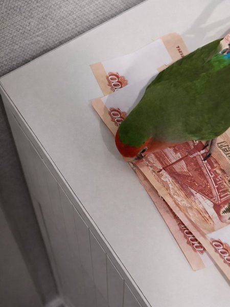 ������� ������� �������� ����� ������������ ����� �� ������ � ��������� ������� ������ � �����. ... - 3