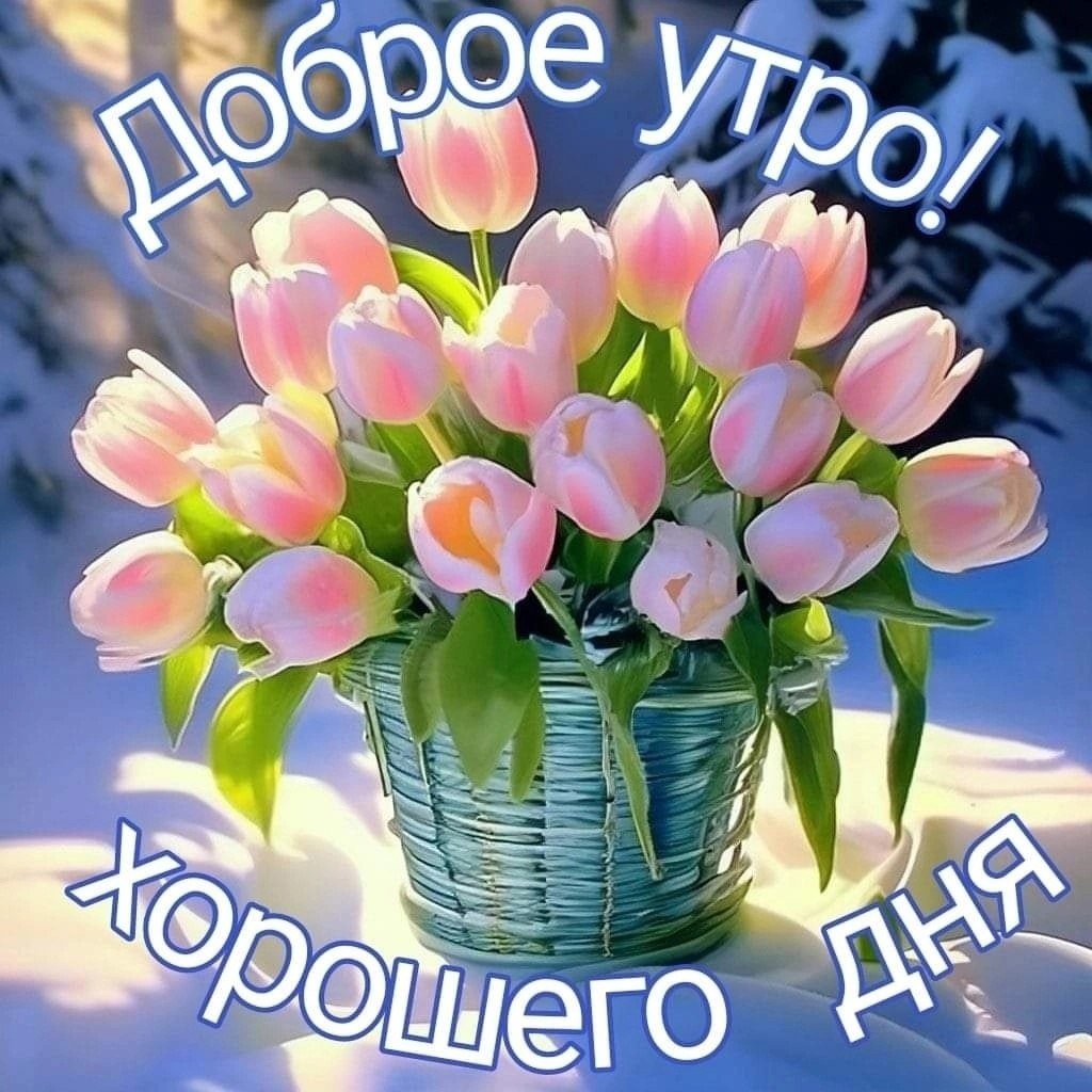   ,    . - 9  2024  22:07 - 5