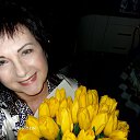 ���� ���������, ������, 62 ���� - ��������� 12 ����� 2024 � ������ ���� ����������