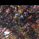 ���� �������, �������, 55 ��� - ��������� 4 ������� 2025 � ������ ���� ����������