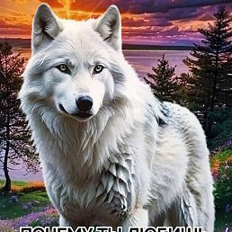 ����, ��������