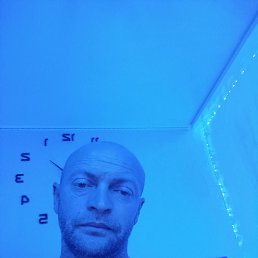 , 40, 