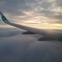 ���� �������, ���������, 54 ���� - ��������� 1 ������ 2024 � ������ ���� ����������