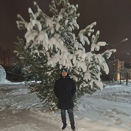 Salim, ����, 26 ���