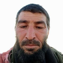 ������, ����������, 39 ���