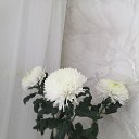 ���� �������, �������-��������� - ��������� 23 ������ 2026 � ������ ������ ��������