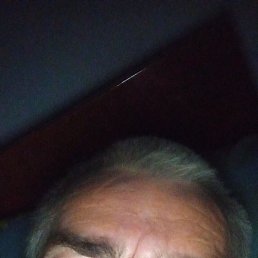  , 51 , 