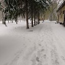 ���� �������, �������, 65 ��� - ��������� 12 ������� 2024 � ������ ������ ��������