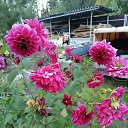 ���� �������, �����, 61 ��� - ��������� 14 �������� 2024 � ������ ���� ����������