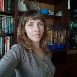 �������, 39 ���, �����