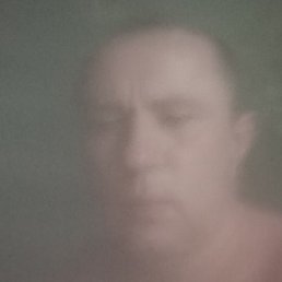 ����, ������, 43 ����