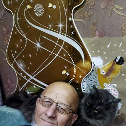 ���, ������, 66 ���