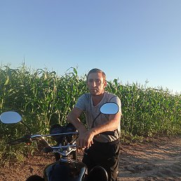 ���������, ������, 44 ����