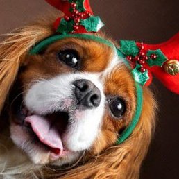 ����� ������, ������ ��������, 52 ����