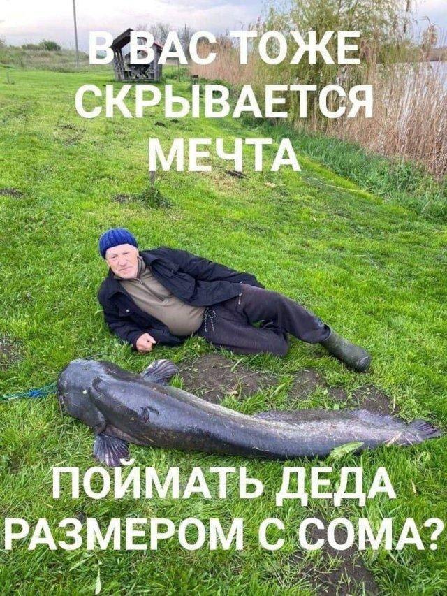 ����� �������� - 10 ������� 2026 � 19:03