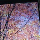 ���� Inga-sergeewna, ������ - ��������� 14 ������ 2025 � ������ �hund�