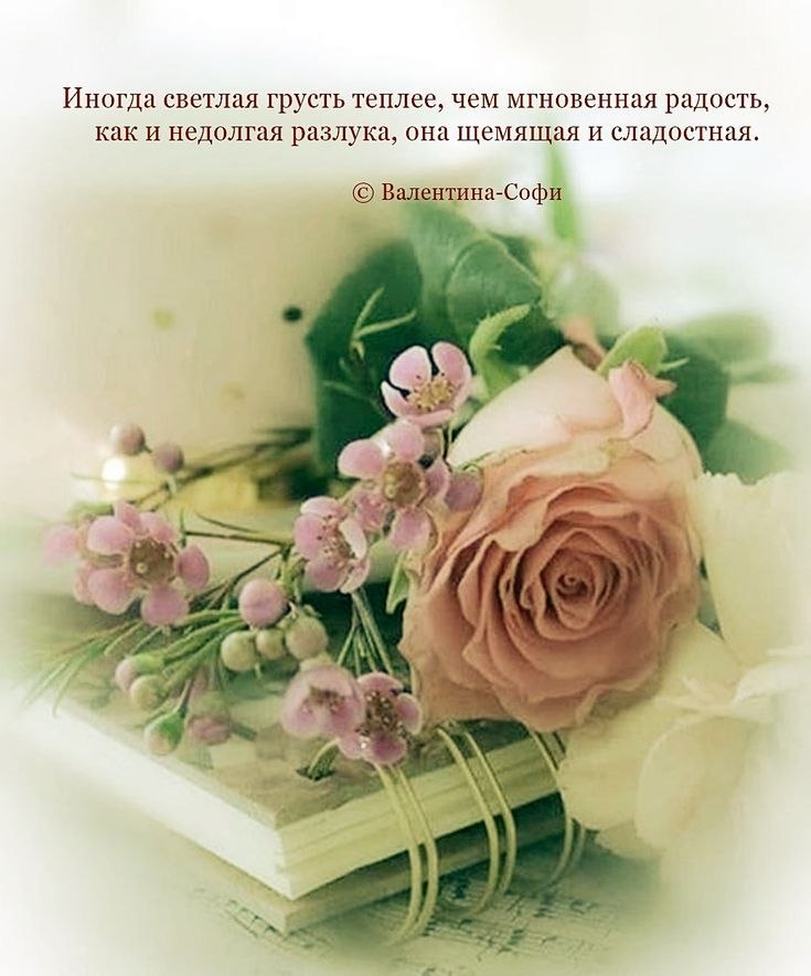   ,    . - 16  2025  23:35