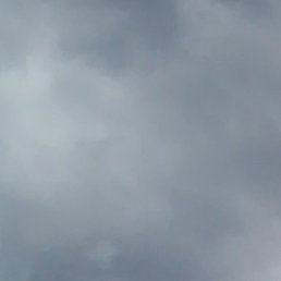 ������, ����, 55 ���